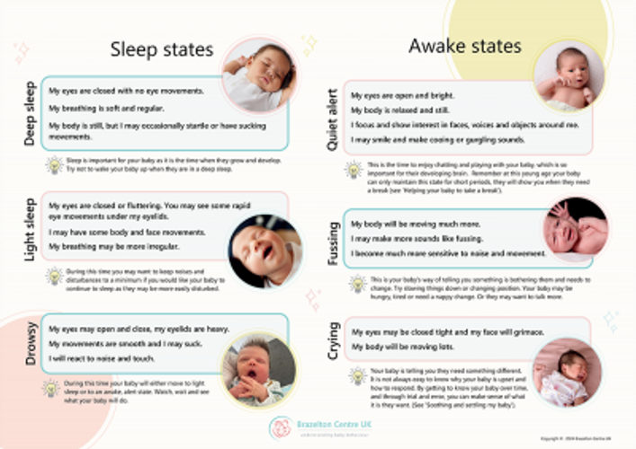 Show details for Brazelton – Newborn behavioural states poster