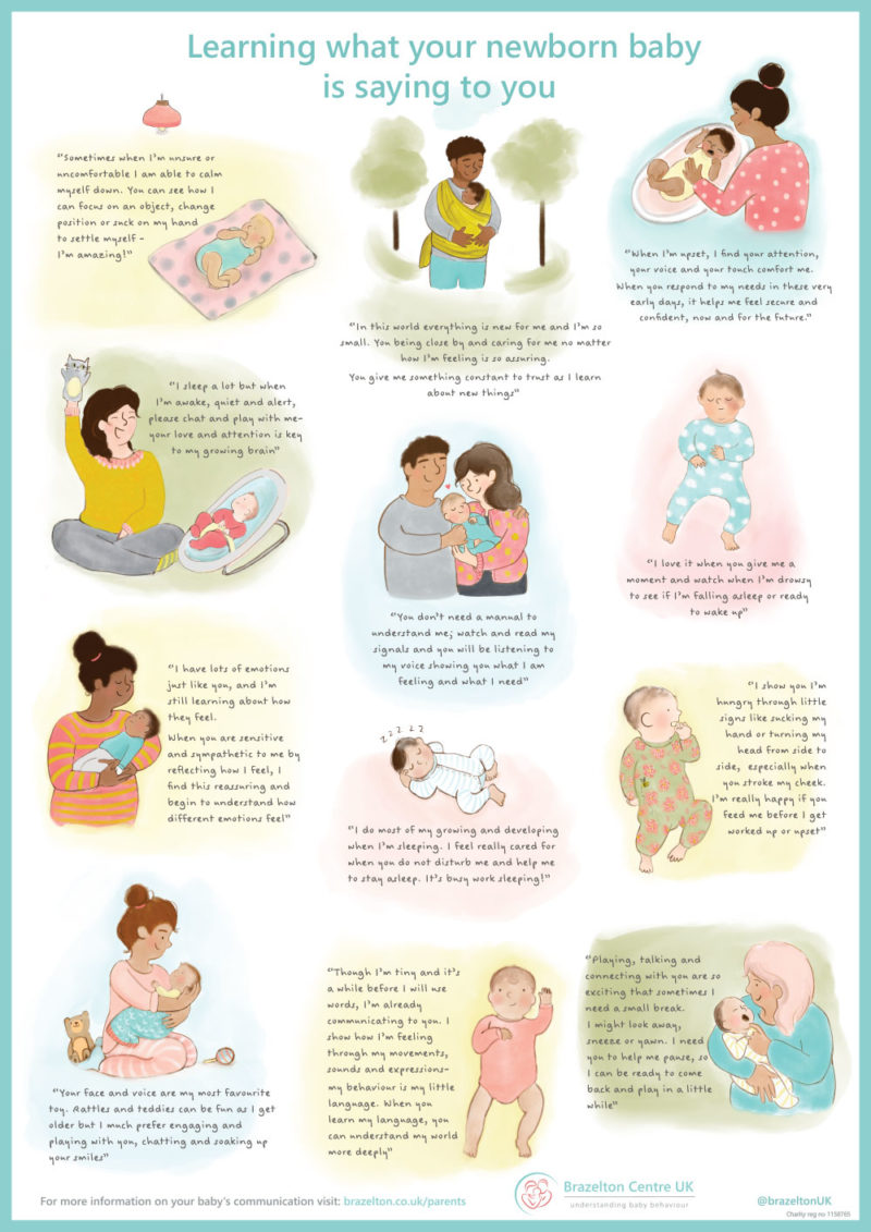 Show details for Brazelton – Newborn Baby Communication Poster – Wipeable / Infection Control material