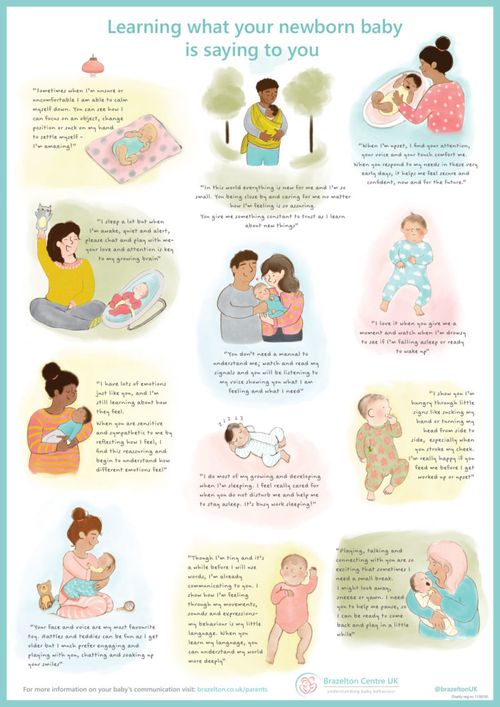 Show details for Brazelton – Newborn Baby Communication Poster – Wipeable / Infection Control material