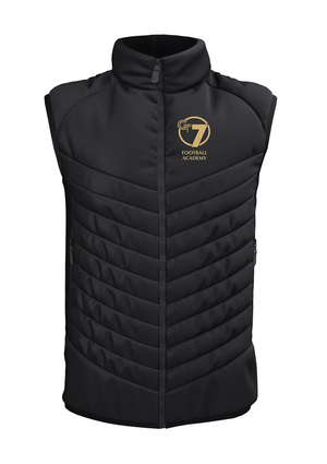 Show details for GT7 Apex Pro Gilet - Adult