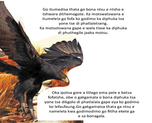 Show details for The Eagle Story - Setswana