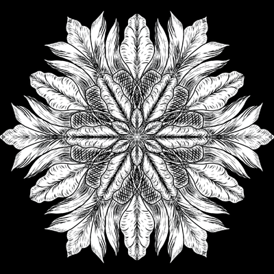 Show details for Bloom where you are planted