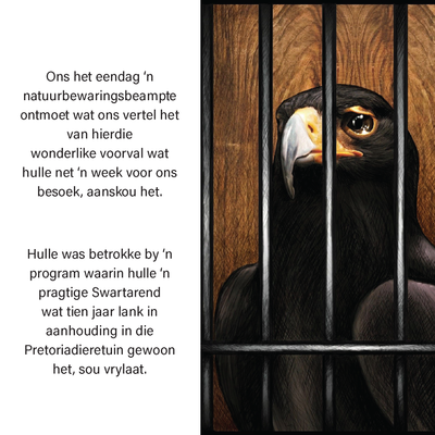 Show details for Die Arend Storie