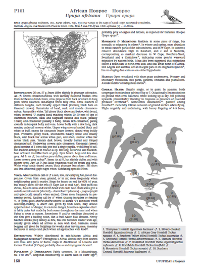 Show details for Roberts Birds of Southern Africa 7th Edition