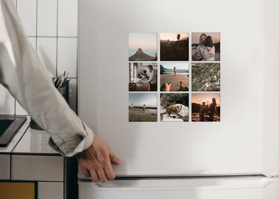 Show details for Fridge Magnets