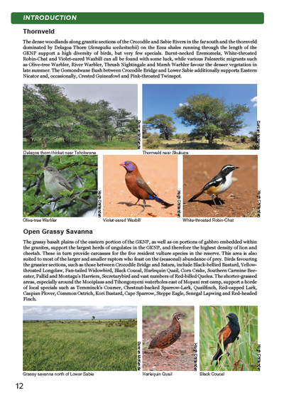 Show details for Roberts Bird Guide Greater Kruger National Park (Second Edition)