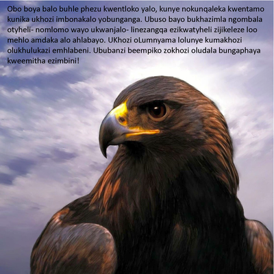 Show details for The Eagle Story - Xhosa