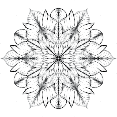 Show details for Bloom where you are planted