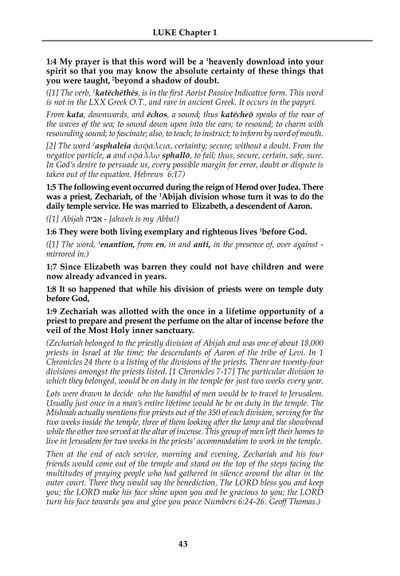 Show details for Mirror Study Bible 11th Edition 