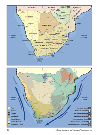 Show details for Roberts Birds of Southern Africa 7th Edition