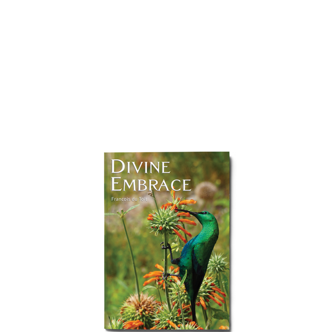 Show details for Divine Embrace
