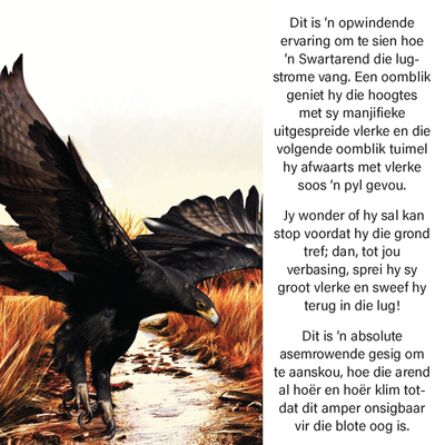 Show details for Die Arend Storie