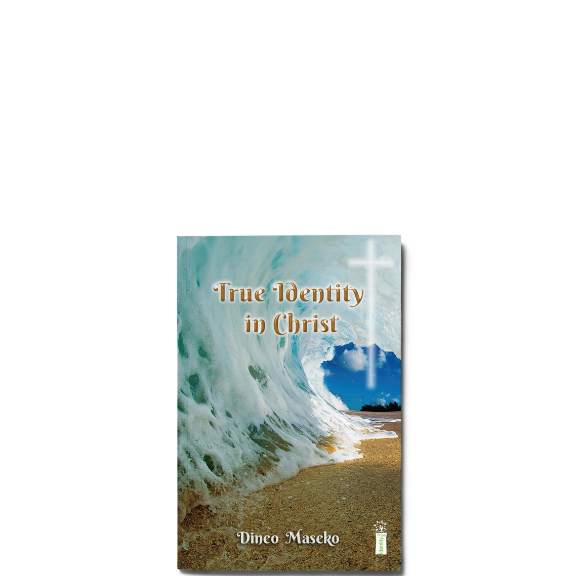 Show details for True Identity in Christ
