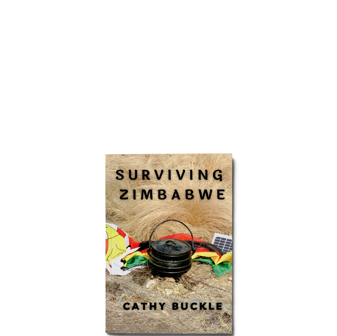 Show details for Surviving Zimbabwe
