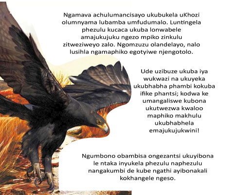 Show details for The Eagle Story - Xhosa