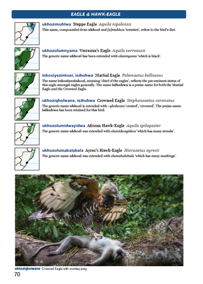 Show details for Roberts Birds of Kwazulu-Natal and their Zulu Names