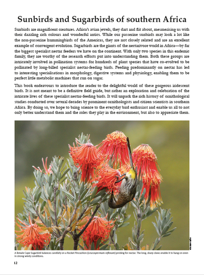 Show details for Roberts Sunbirds and Sugarbirds of Southern Africa