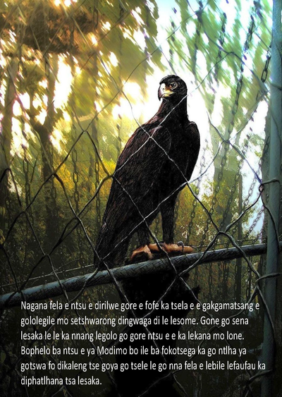 Show details for The Eagle Story - Setswana