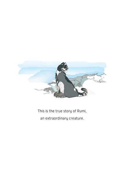Show details for Rumi
