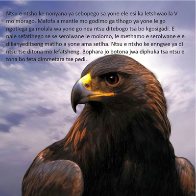 Show details for The Eagle Story - Setswana