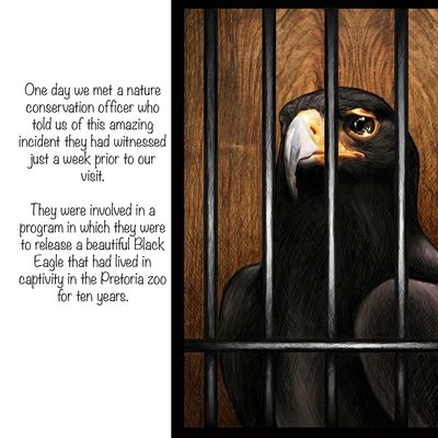 Show details for The Eagle Story