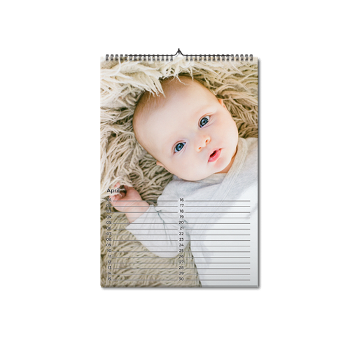Show details for A4 Perpetual Calendar