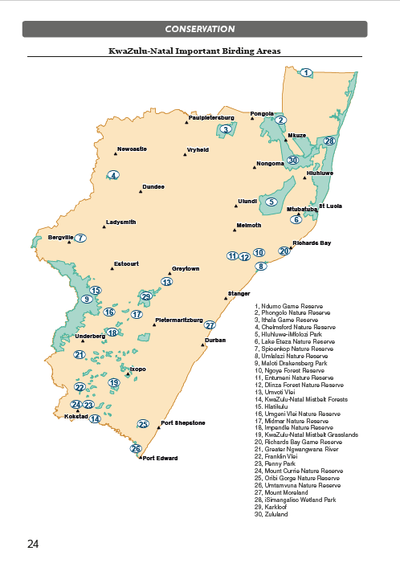 Show details for Roberts Birds of Kwazulu-Natal and their Zulu Names