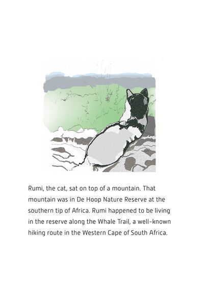Show details for Rumi