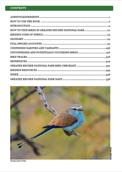 Show details for Roberts Bird Guide Greater Kruger National Park (Second Edition)
