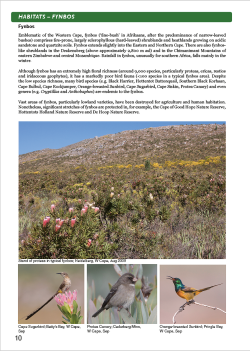 Show details for Roberts Bird Guide (Second Edition)