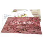 Show details for Invitations + Envelopes